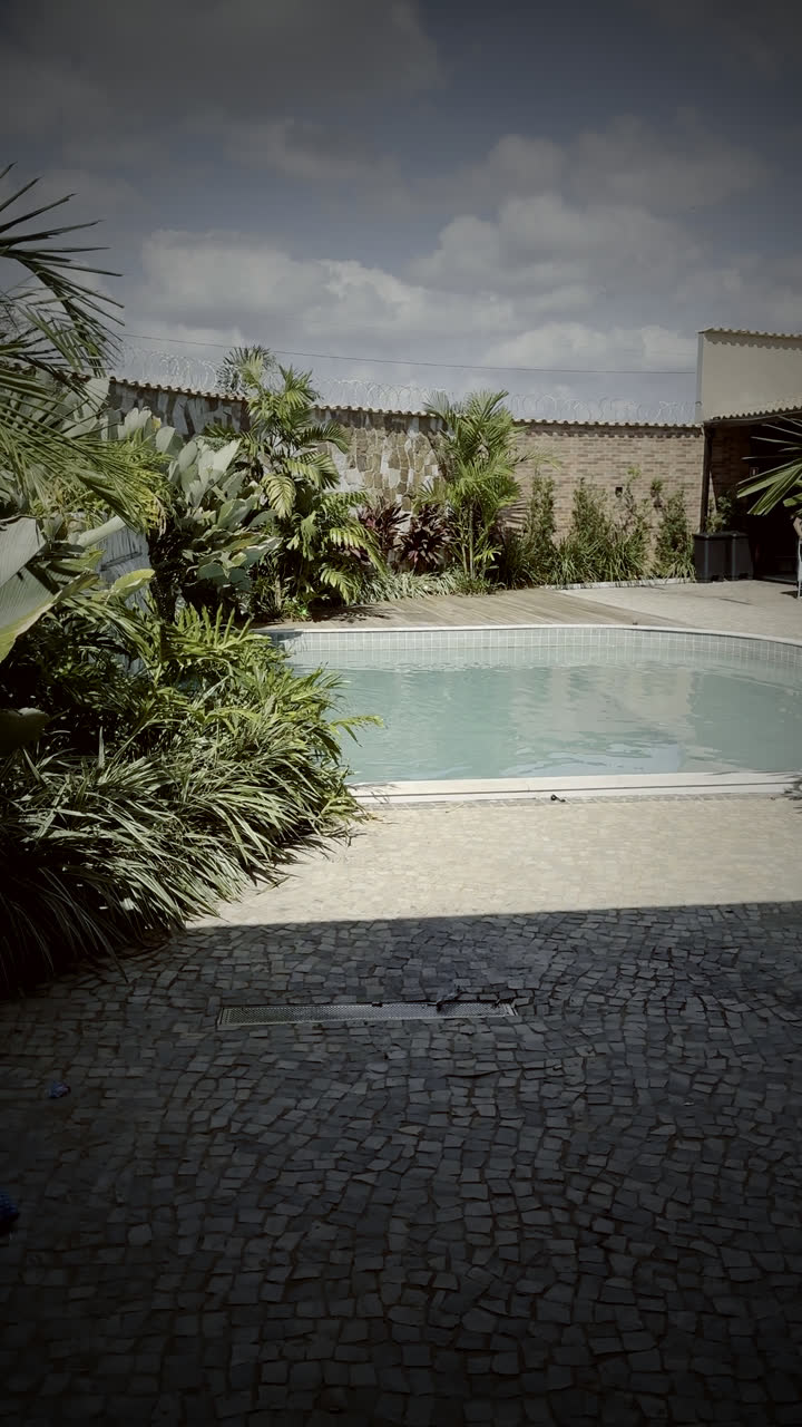 Pátio com palmeiras e piscina ao fundo